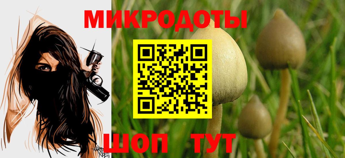 Псилоцибиновые грибы мицелий Зеленогорск