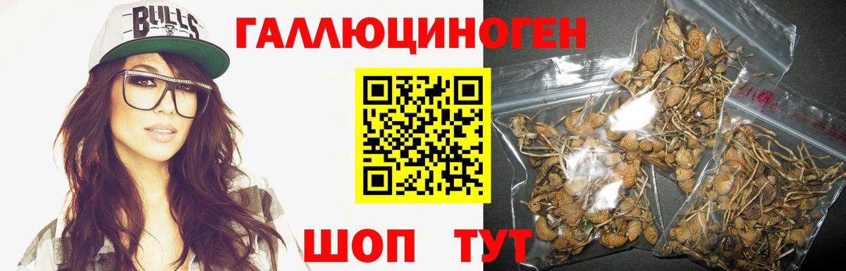 Зеленогорск  Галлюциногенные грибы прущие грибы  Вход с VPN 